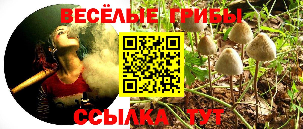 Галлюциногенные грибы Psilocybe Семёнов