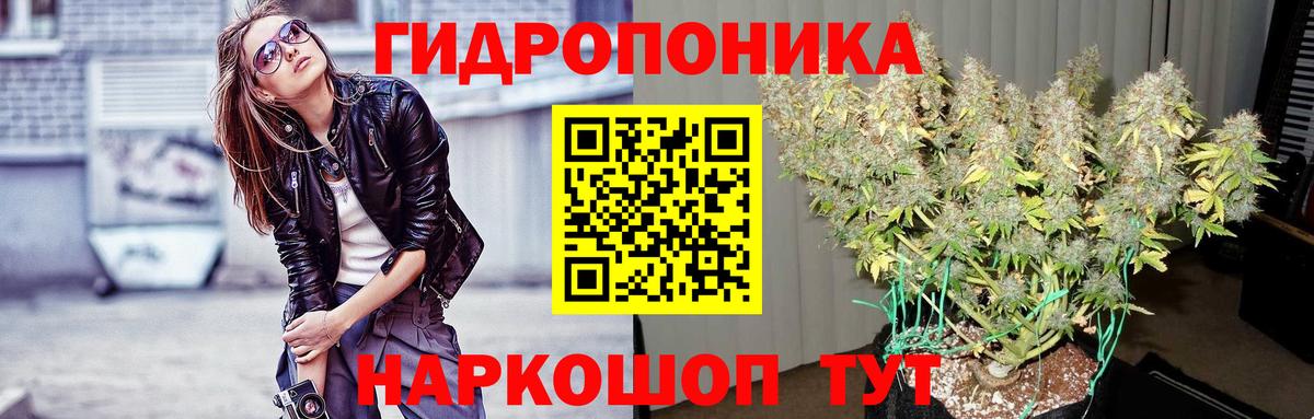 Каннабис семена Семёнов